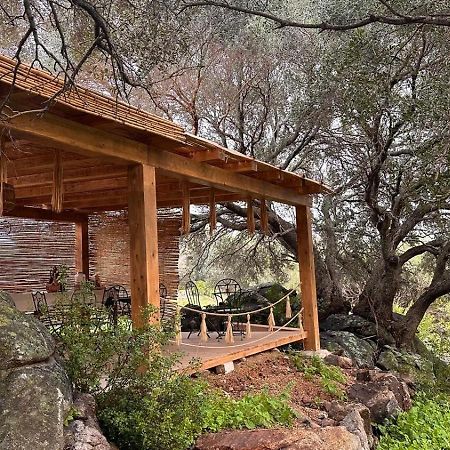 Ammentos Bed & Breakfast Palau Dış mekan fotoğraf