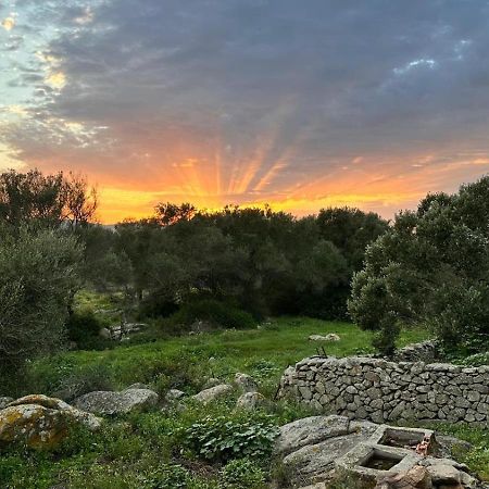 Ammentos Bed & Breakfast Palau Dış mekan fotoğraf