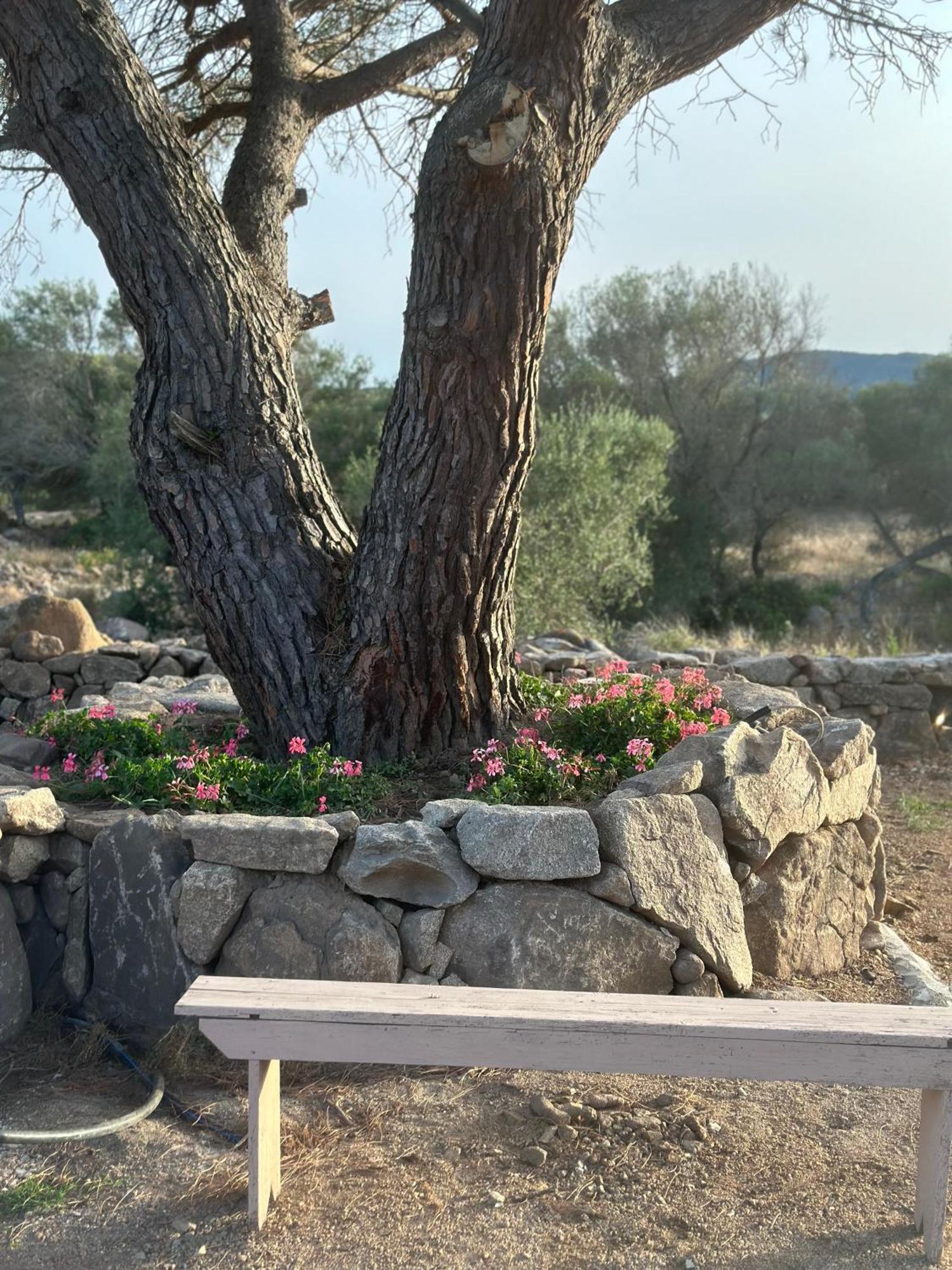 Ammentos Bed & Breakfast Palau Dış mekan fotoğraf