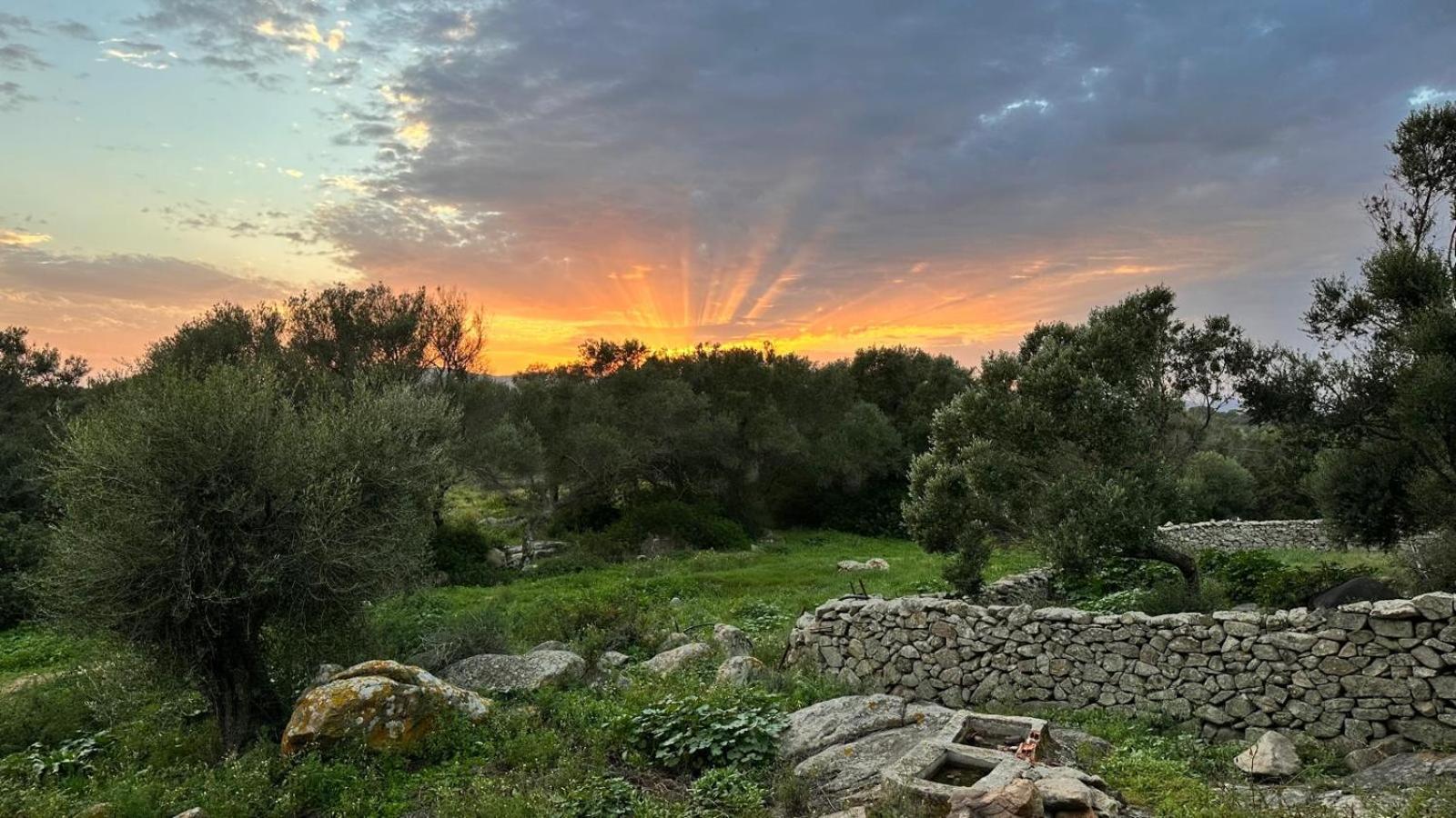 Ammentos Bed & Breakfast Palau Dış mekan fotoğraf